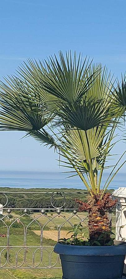 Villa Luiss Panorama Durrës Extérieur photo